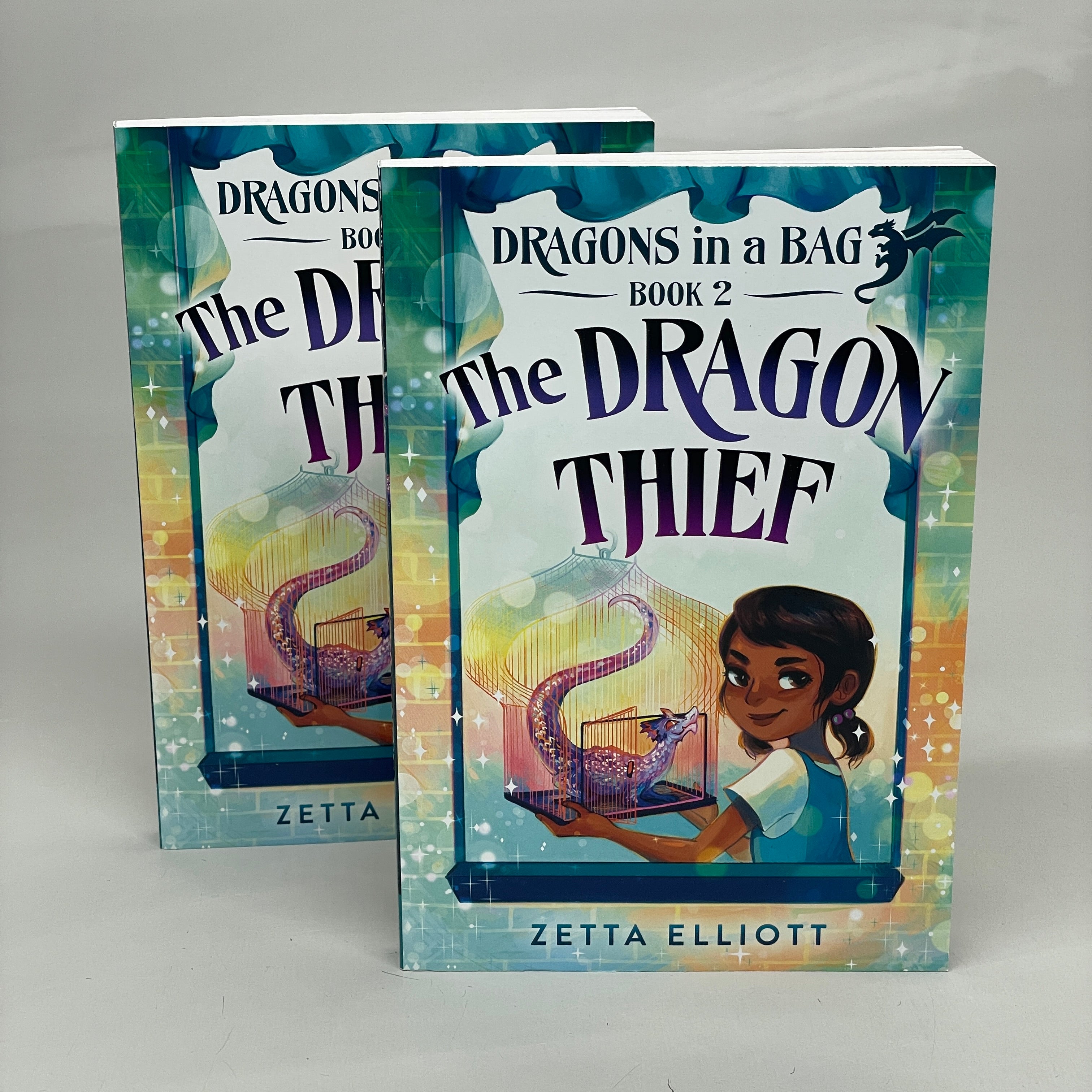 Dragons in a bag by zetta elliott online