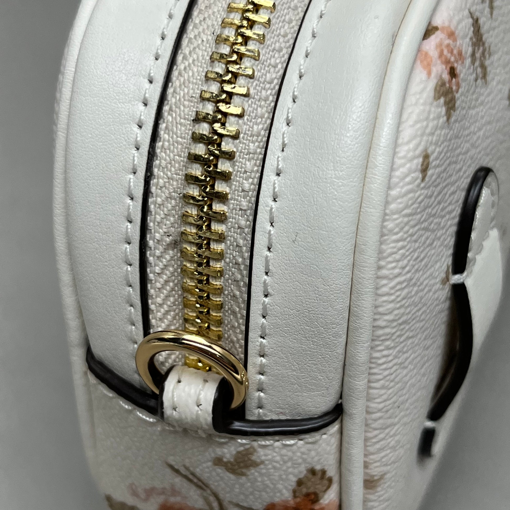 Coach camera bag rose 2025 print