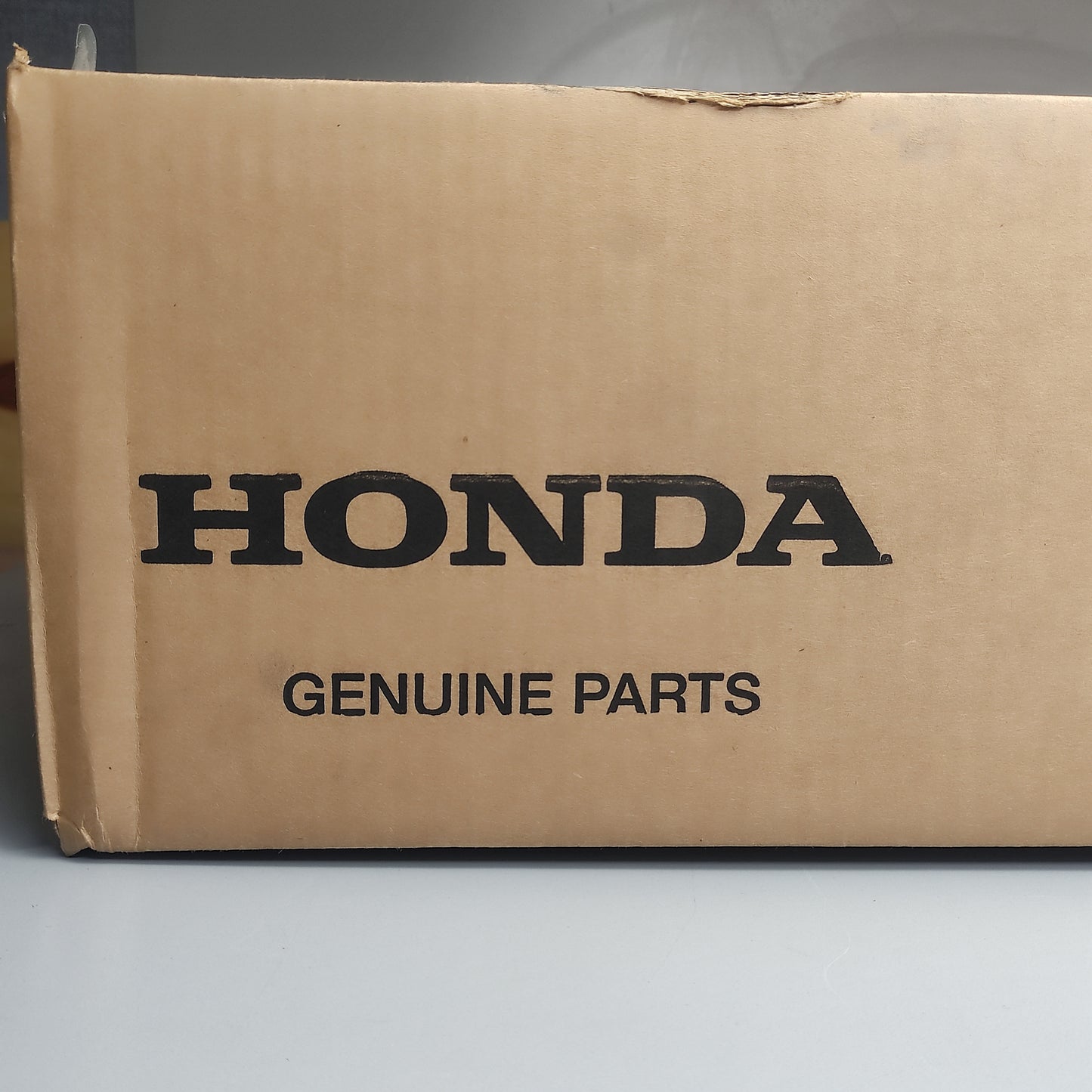 HONDA Side Cover Lower Right for Side by Side 71380-HL7-A20 Genuine Part (New)