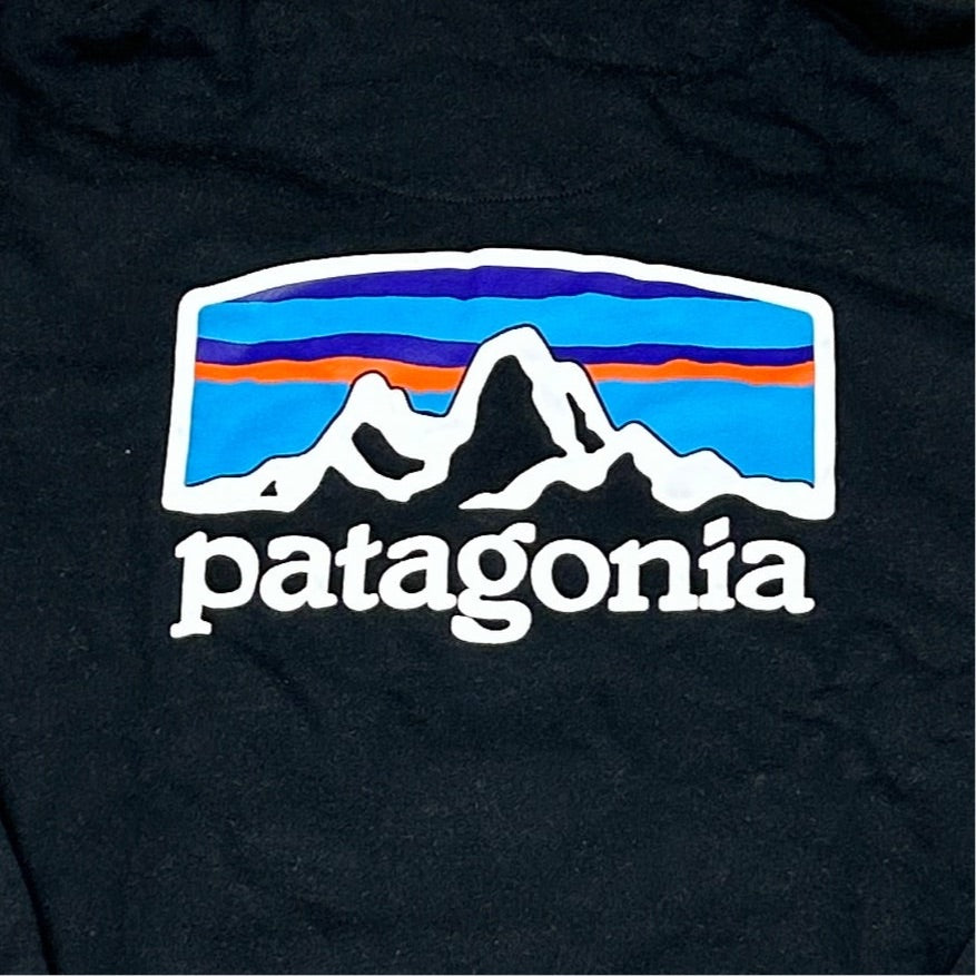 Patagonia Fitz Roy Horizons Uprisal Hoody