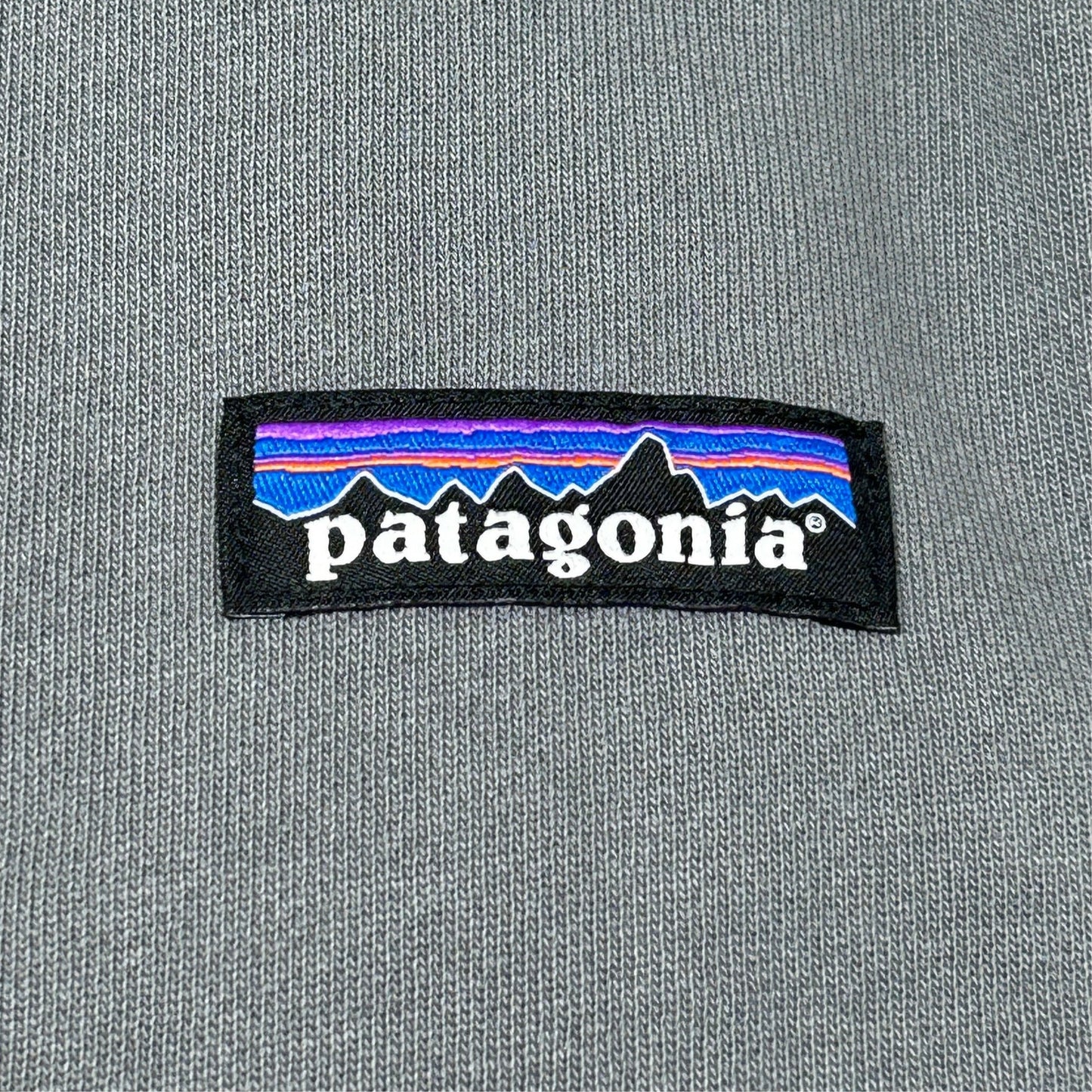 PATAGONIA Regenerative Organic Cotton Hoody Sweatshirt Sz L Noble Grey (New)