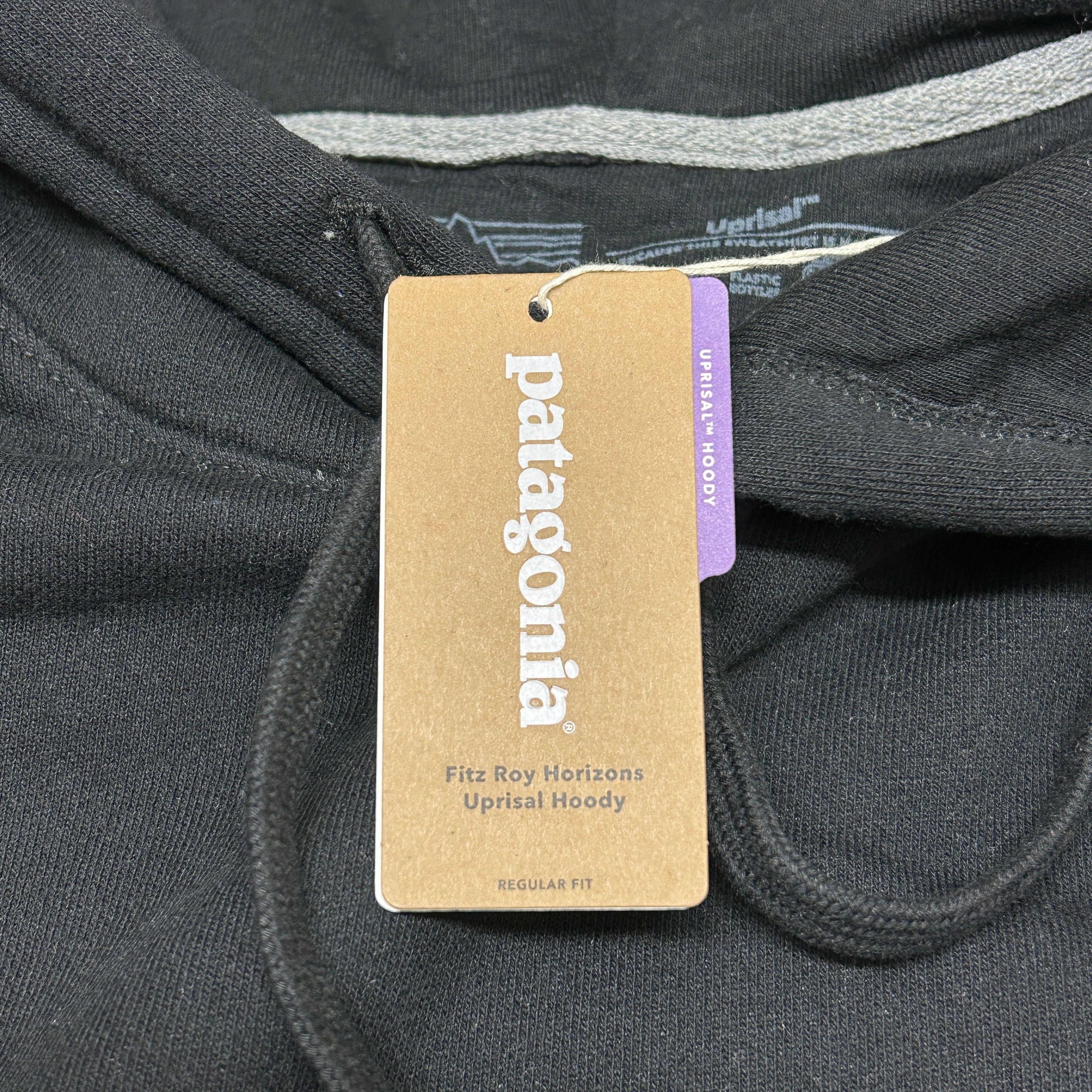 Patagonia fitz roy horizons hoodie hot sale