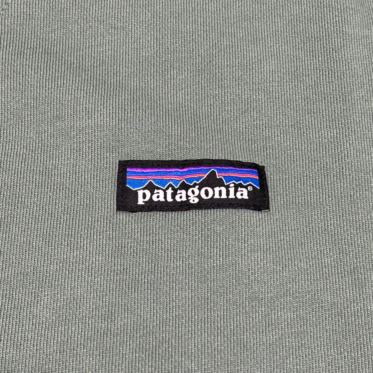 PATAGONIA Regenerative Organic Cotton Hoody Sweatshirt Sz M Hemlock Green (New)