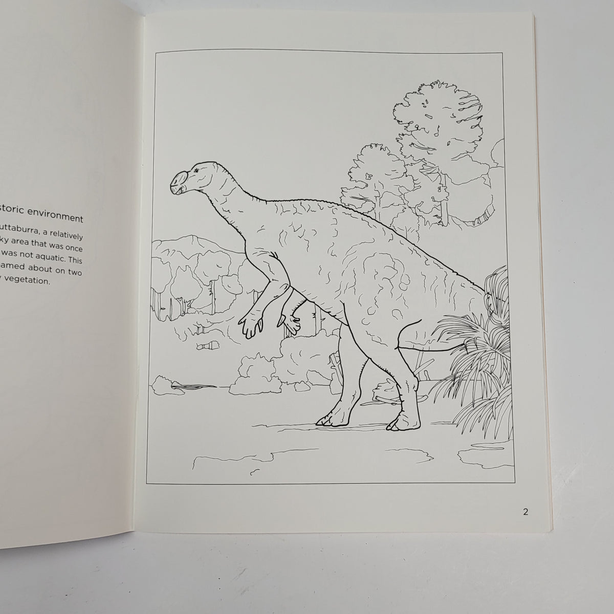 ZA@ POMEGRANATE Dinosaurs Coloring Book Soft Cover 22 Illustrations