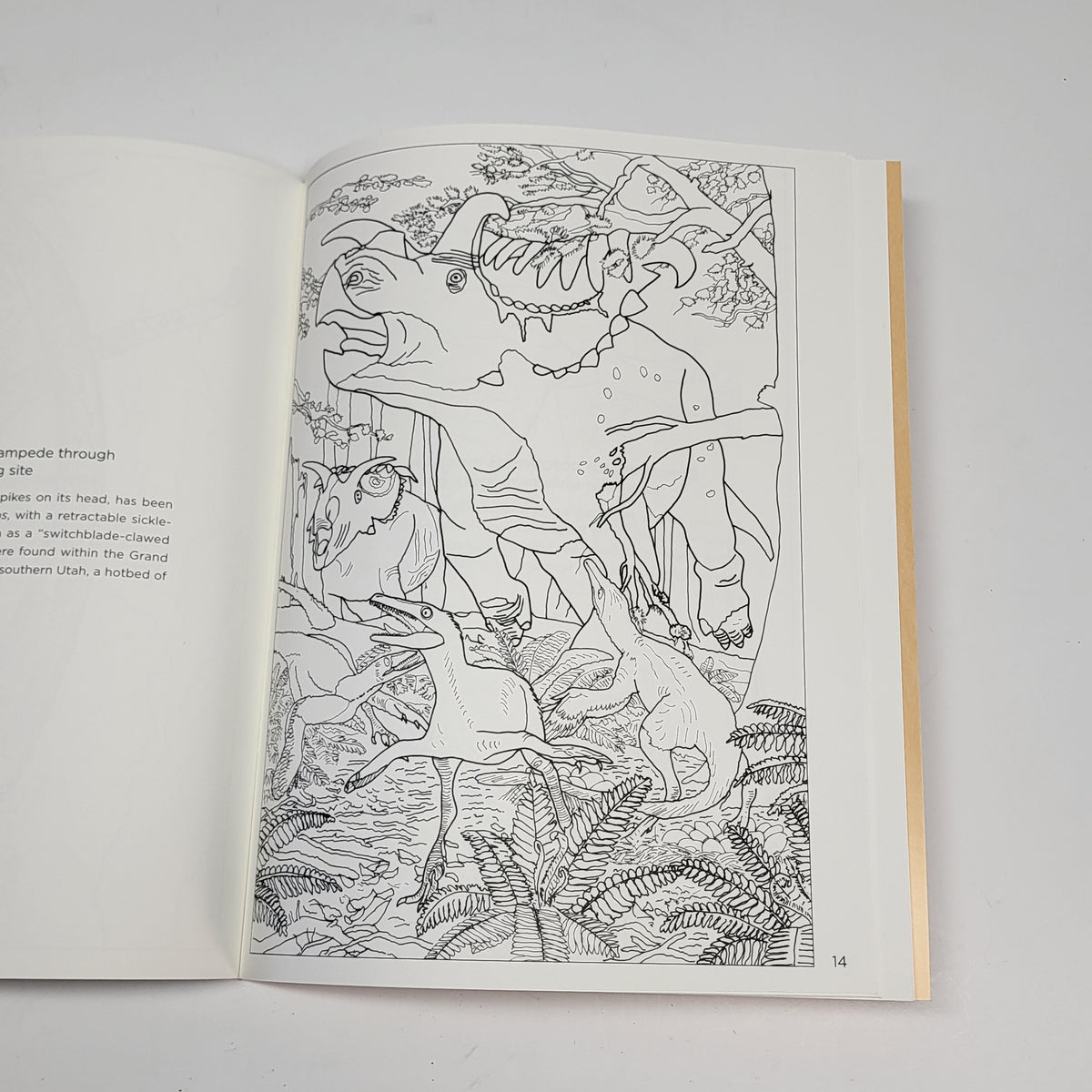 ZA@ POMEGRANATE Dinosaurs Coloring Book Soft Cover 22 Illustrations