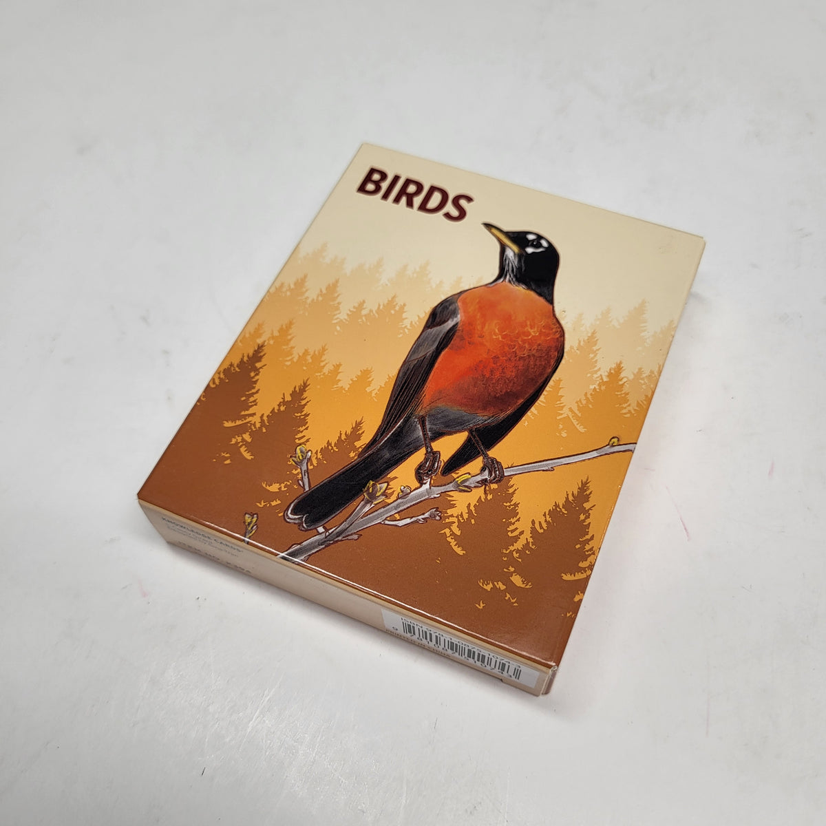 ZA@ POMEGRANATE North American Birds Casey Girard Knowledge Cards