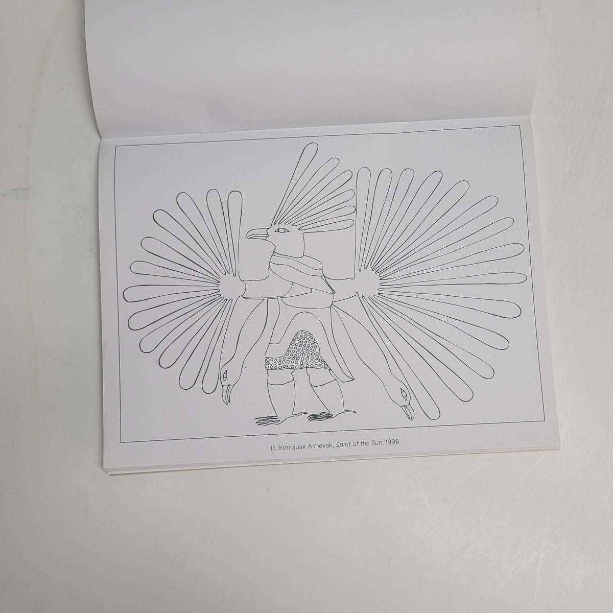 ZA@ POMEGRANATE Intuit Art From Kinngait Coloring Book Soft Cover Book Yellow