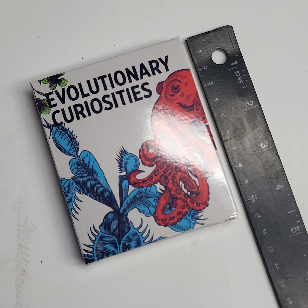 ZA@ POMEGRANATE Evolutionary Life on Earth Curiosities Knowledge Cards