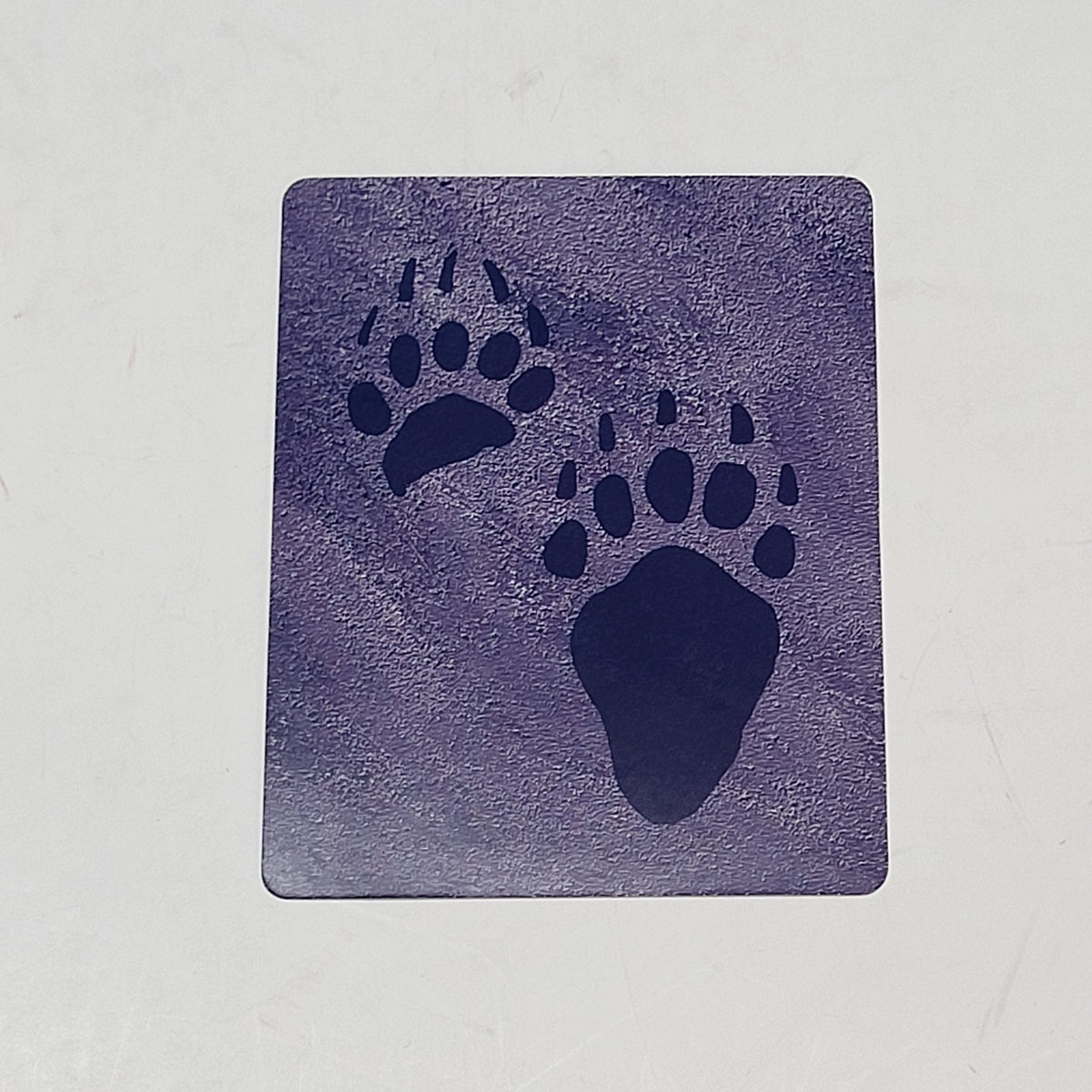 ZA@ POMEGRANATE Animal & Bird Tracks: A Handy Reference The Outdoor Detective