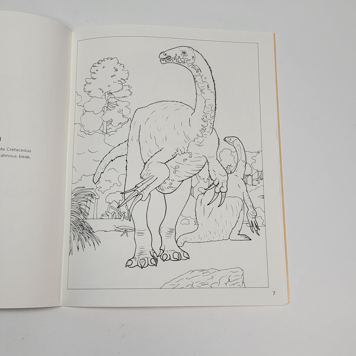 ZA@ POMEGRANATE Dinosaurs Coloring Book Soft Cover 22 Illustrations