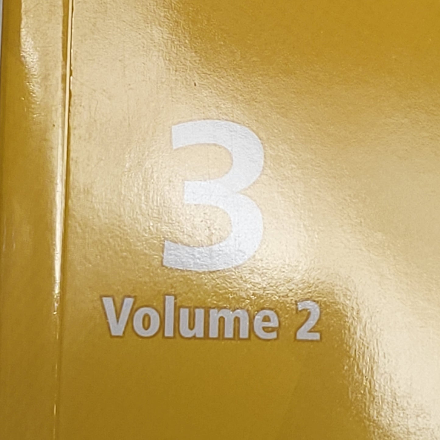 BIG IDEAS MATH Modeling Real Life Paperback Common Core Grade 3 Volume 2