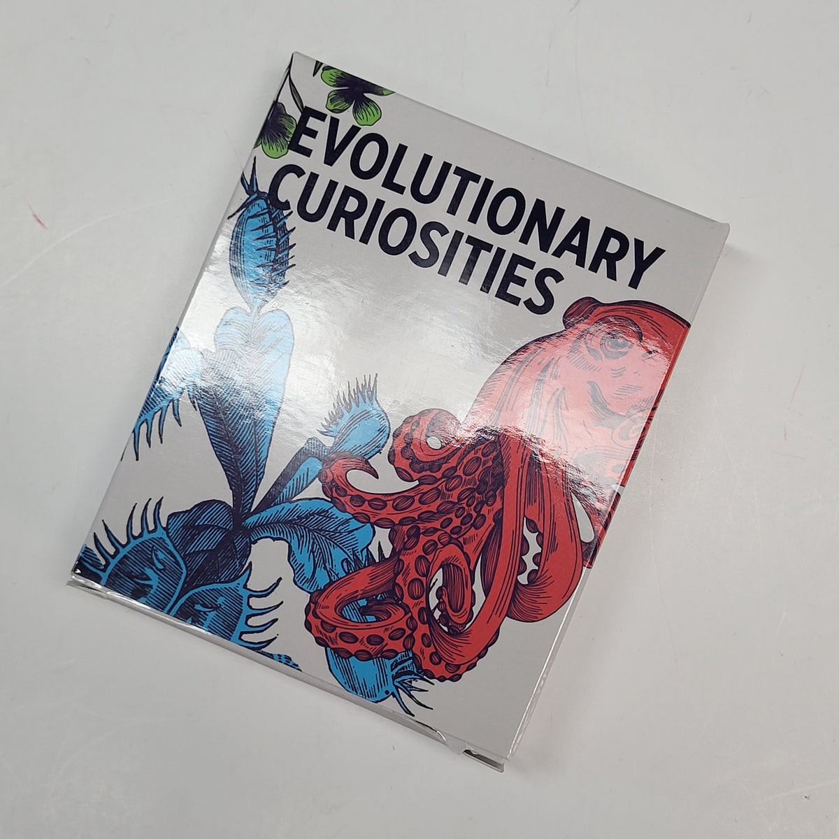ZA@ POMEGRANATE Evolutionary Life on Earth Curiosities Knowledge Cards