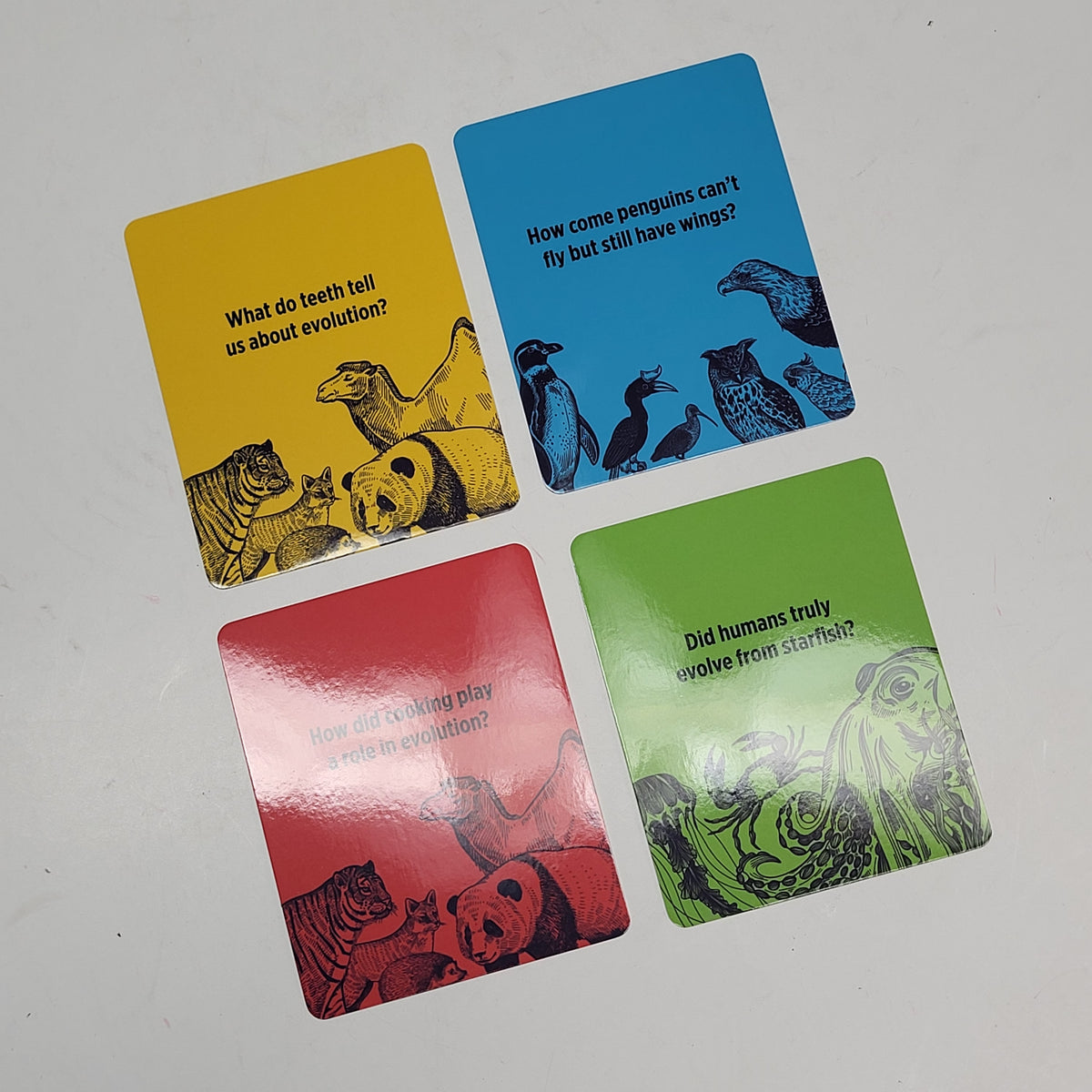 ZA@ POMEGRANATE Evolutionary Life on Earth Curiosities Knowledge Cards