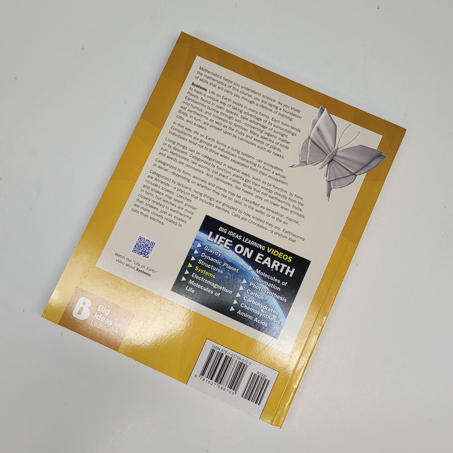 BIG IDEAS MATH Modeling Real Life Paperback Common Core Grade 3 Volume 2