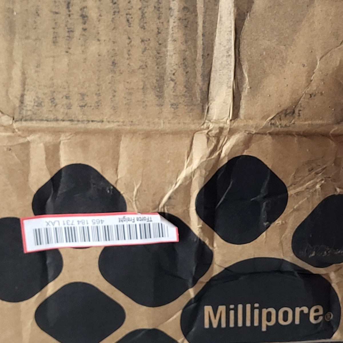 MILIPORE  Milistak+ Hc Pod X0hc Media Series 1.1m 2 MX0HC10FS1 CP6DB93486