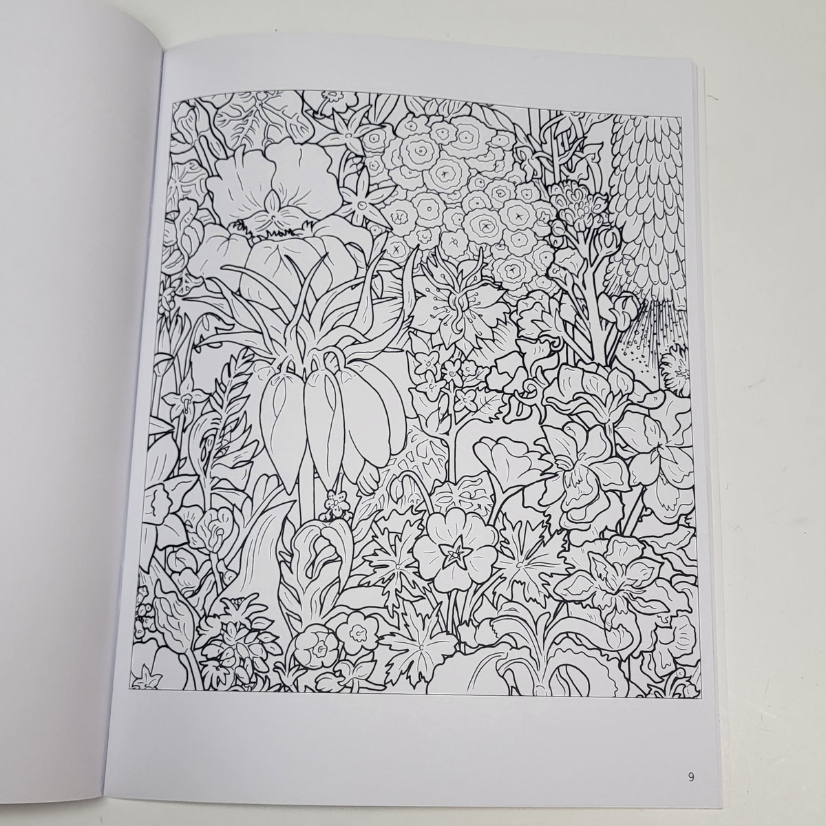 ZA@ POMEGRANATE Rosalind Wise Flower Cycle Coloring Book Soft Cover 20 Images