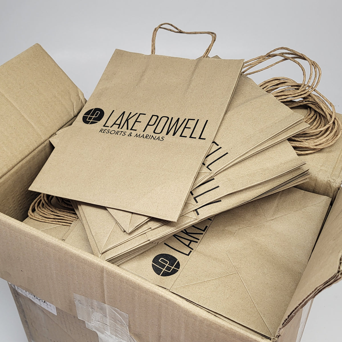 ZA@ (250 PACK) Lake Powell Printed Paper Gift Bags 10" x 8" Brown
