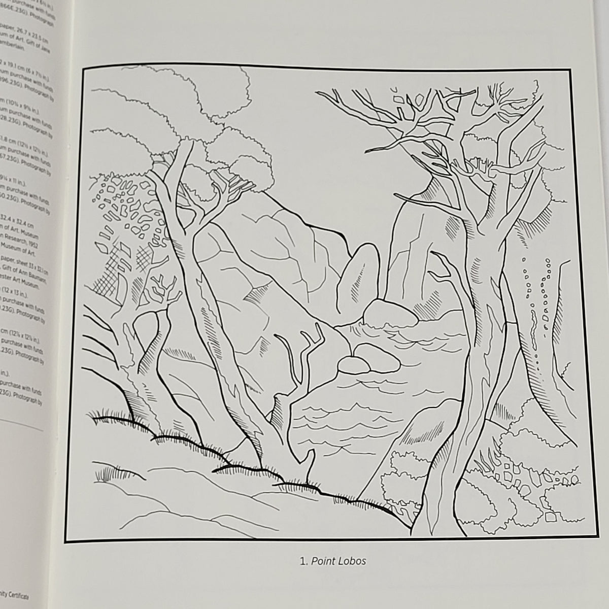 ZA@ POMEGRANATE Gustave Bauman Coloring Book Soft Cover 22 Images