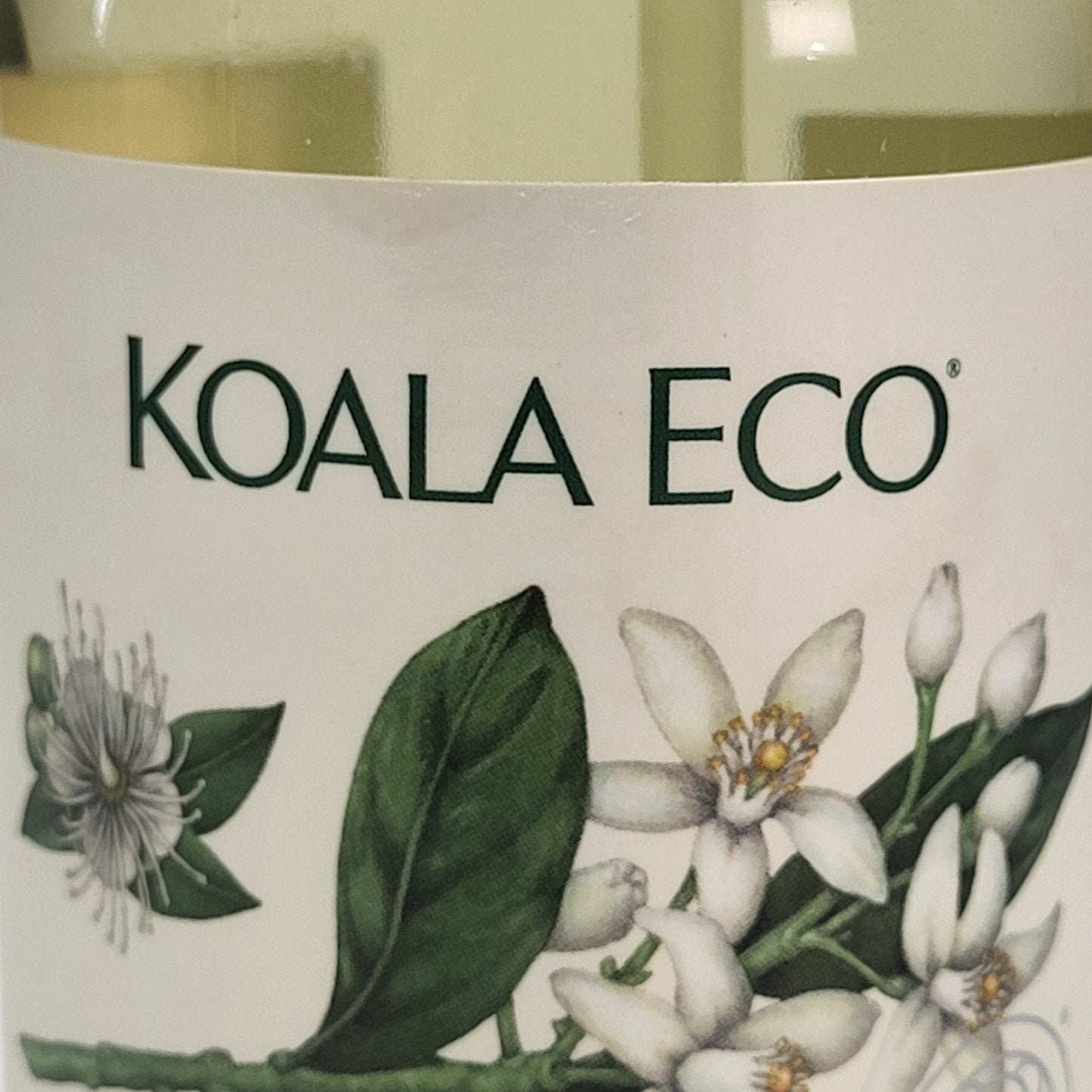 KOALA ECO (3 PACK) Multi-purpose Kitchen Cleaner Lemon And Mandarin 16.9| Oz