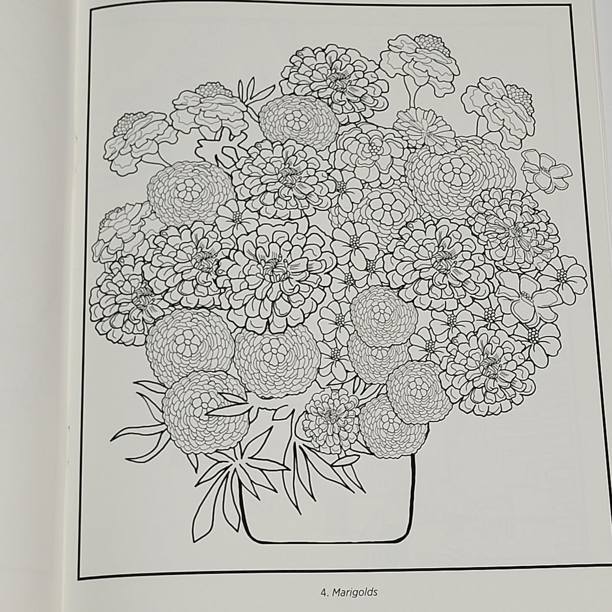 ZA@ POMEGRANATE Gustave Bauman Coloring Book Soft Cover 22 Images