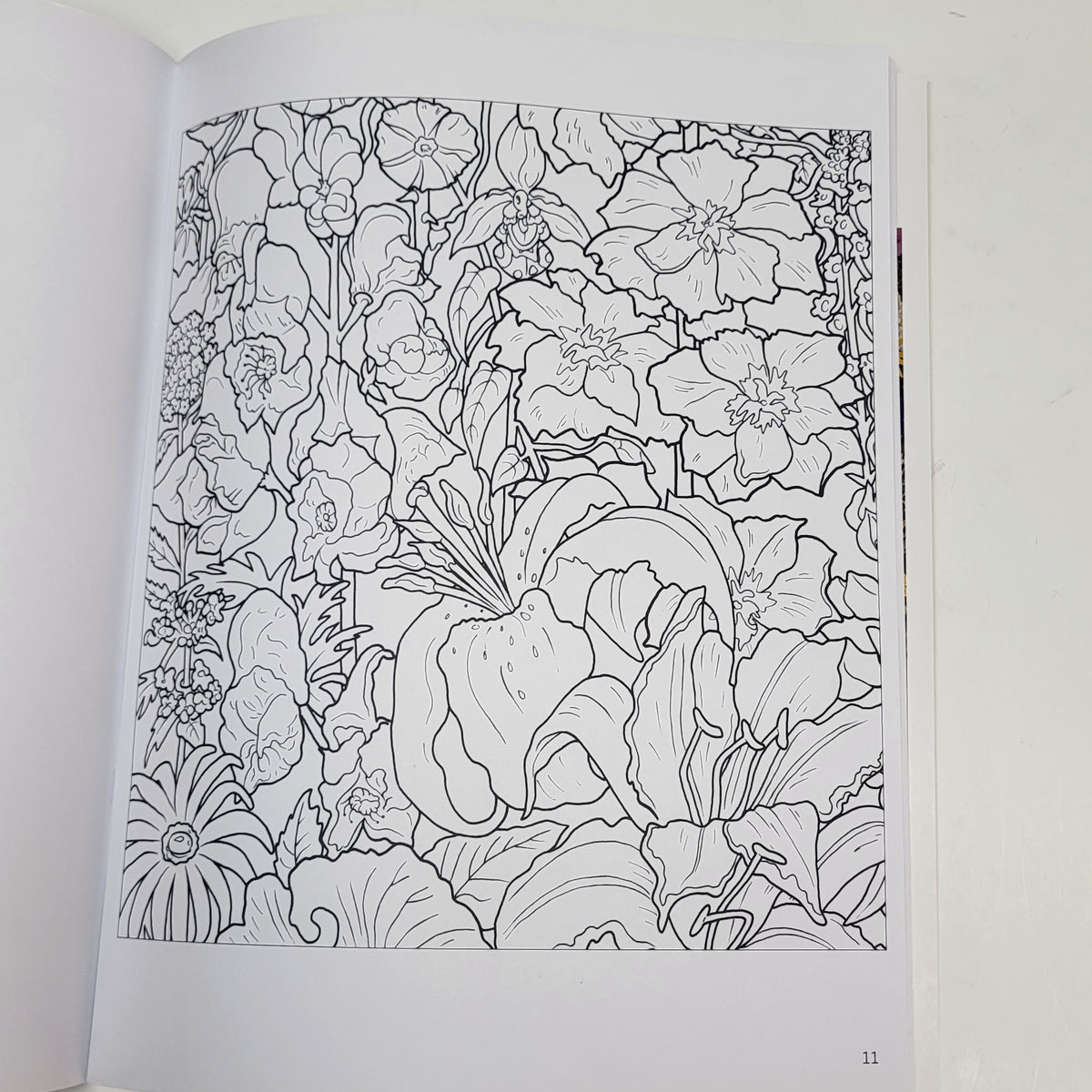 ZA@ POMEGRANATE Rosalind Wise Flower Cycle Coloring Book Soft Cover 20 Images
