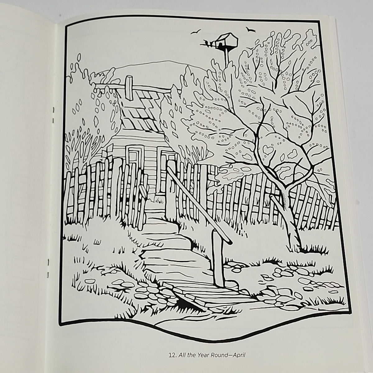 ZA@ POMEGRANATE Gustave Bauman Coloring Book Soft Cover 22 Images