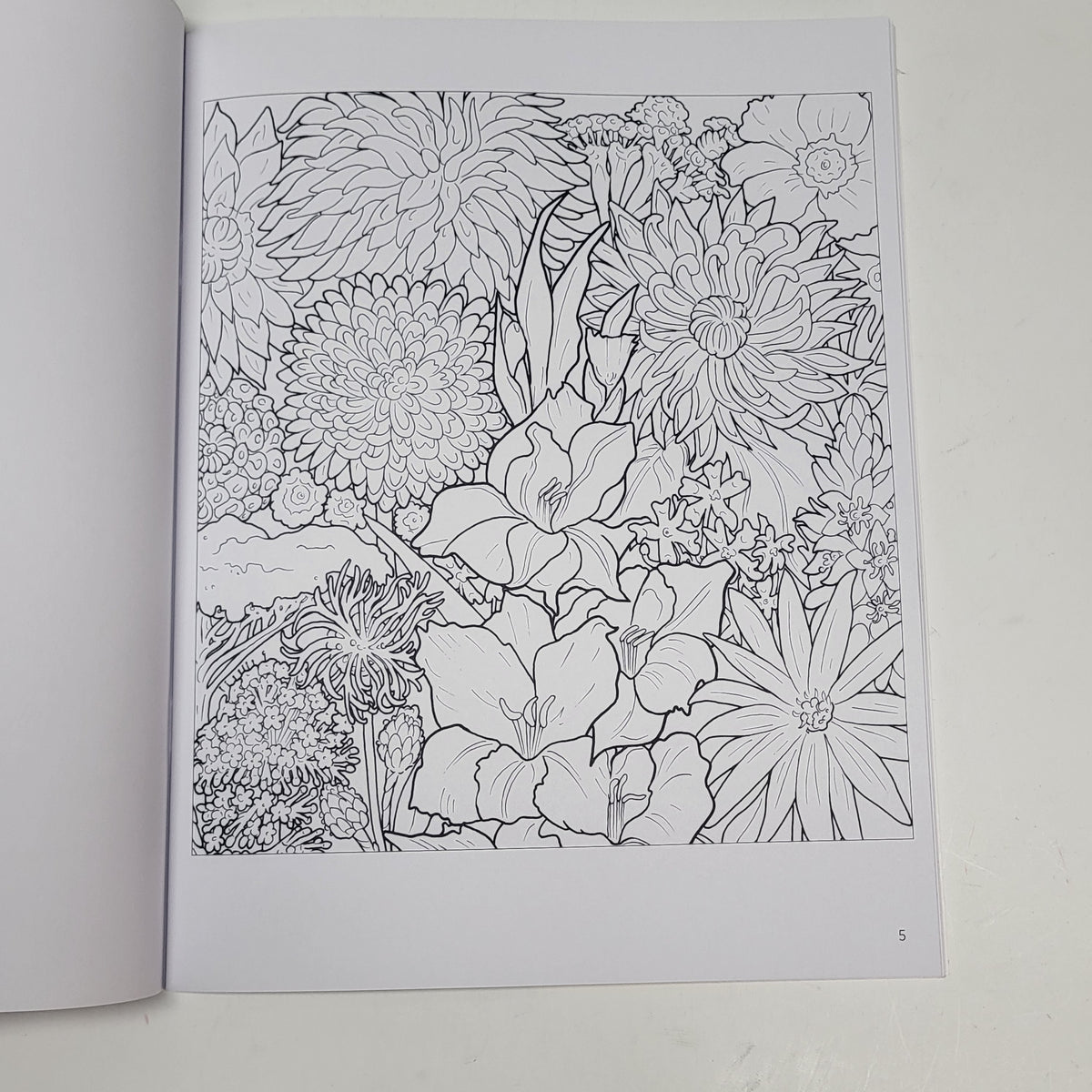 ZA@ POMEGRANATE Rosalind Wise Flower Cycle Coloring Book Soft Cover 20 Images
