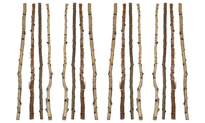 CREATIVECO-OP (16 Pcs) Long Wood Birch Branch 59"L Wood DA3953