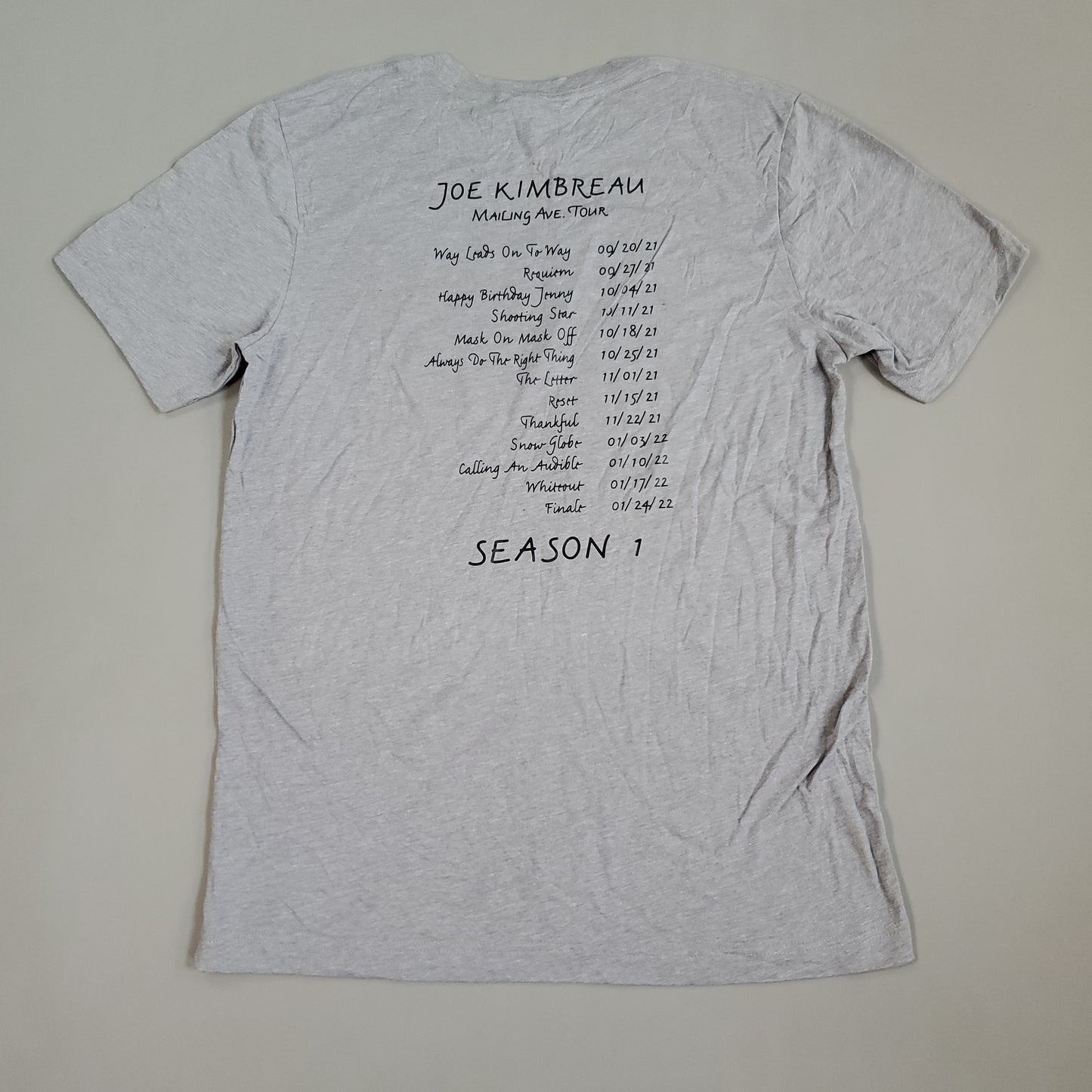 ORDINARY JOE Season 1 Tee Shirt Joe Kimbreau Mailing Ave Tour Sz M Gray (New Other)