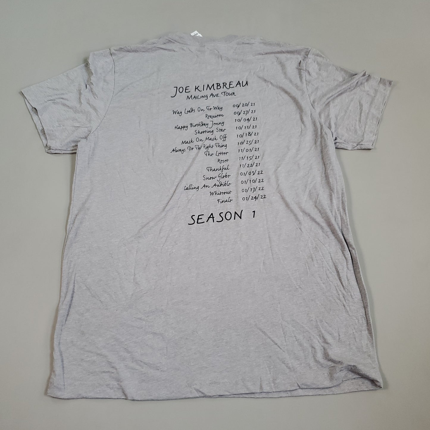 ORDINARY JOE Season 1 Tee Shirt Joe Kimbreau Mailing Ave Tour Sz L Gray (New Other)