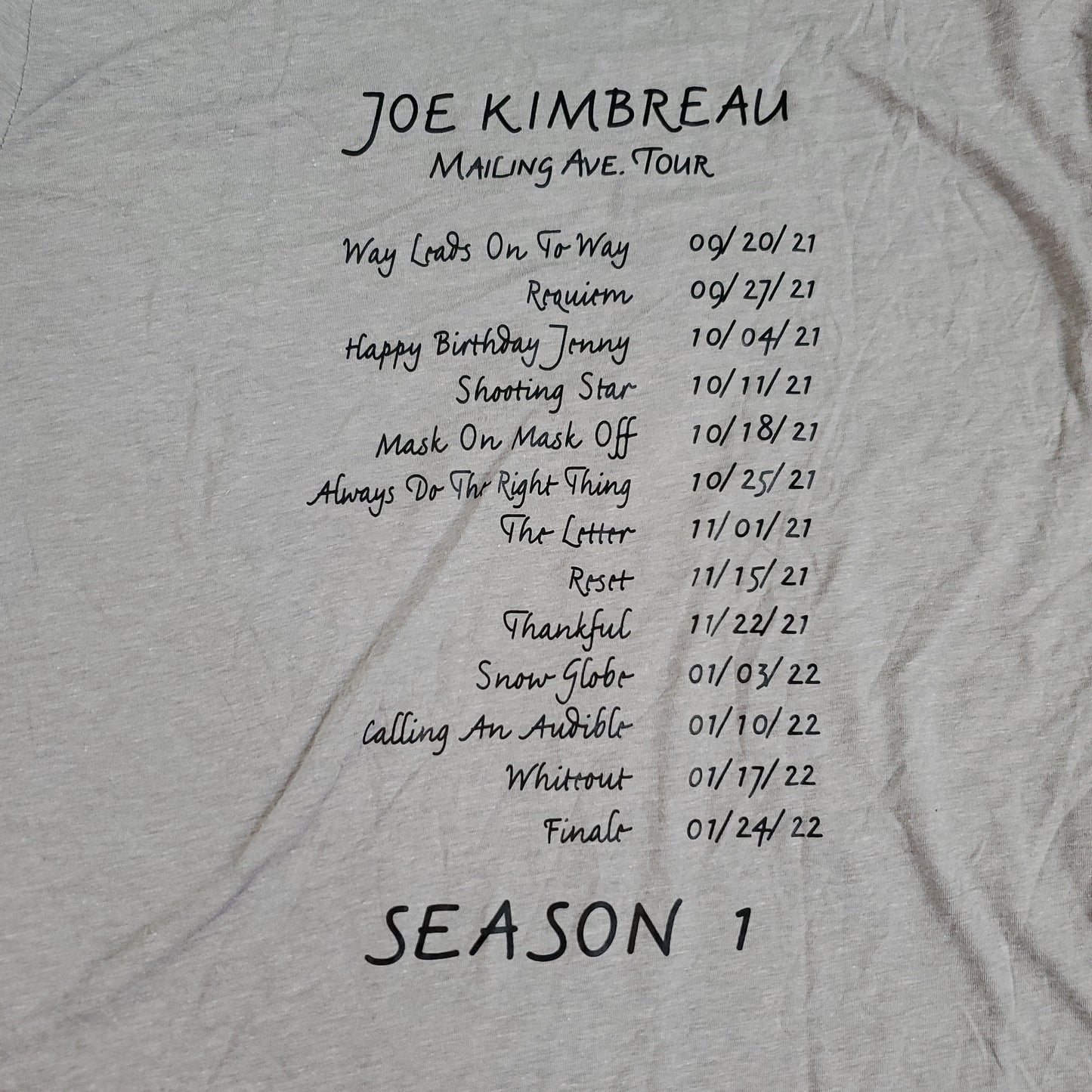 ORDINARY JOE Season 1 Tee Shirt Joe Kimbreau Mailing Ave Tour Sz L Gray (New Other)