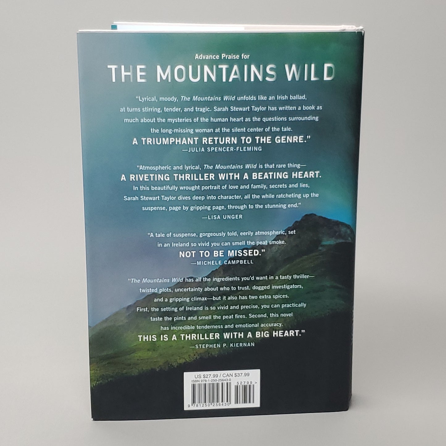 THE MOUNTAINS WILD A Mystery by Sarah Stewart Taylor Book Hardback (New)