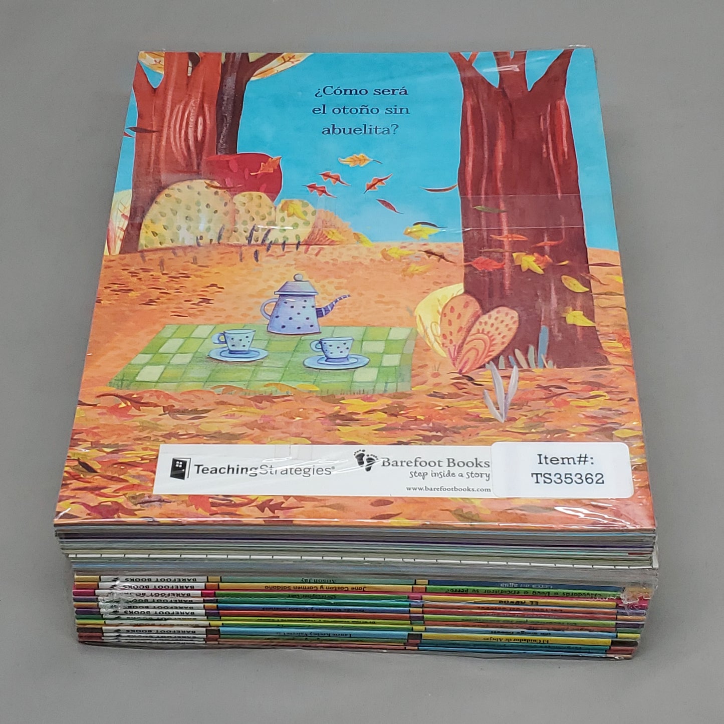 TEACHING STRATEGIES Barefoot Books Library Collection Pre-K Program Spanish TS35362  (New)