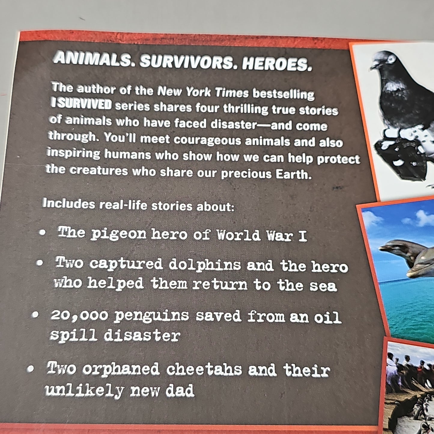 SCHOLASTIC I Survived: Courageous Creatures by Laren Tarshis Paperback Book (New)
