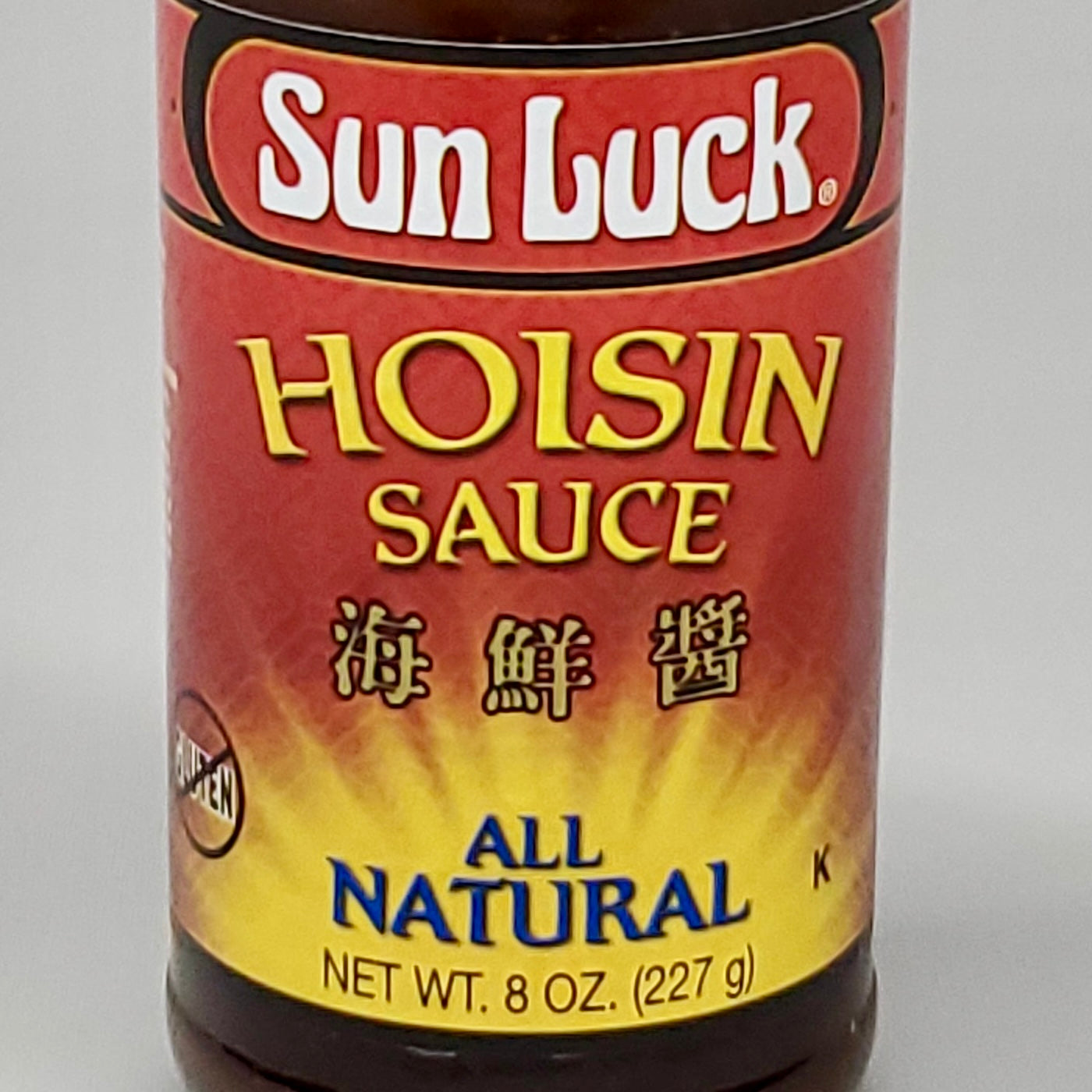 SUN LUCK Hoisin Sauce Pack of 6 All Natural 8 OZ. Best By 9/19/24 (New)